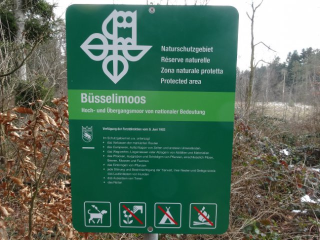 Am Eingang zum Büsselimoos.