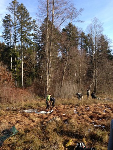 Der Fortschritt wird sichtbar