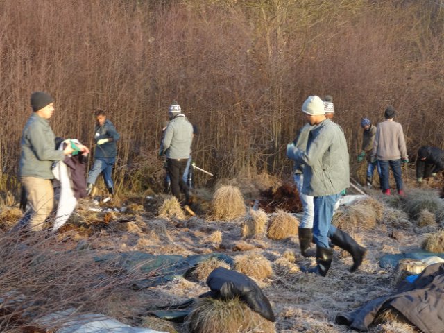 Kräftige und motivierte Helfer an der Arbeit