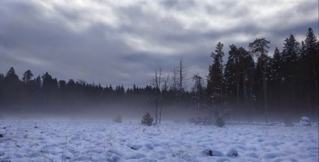 2016_23_1_buesselimoos_6