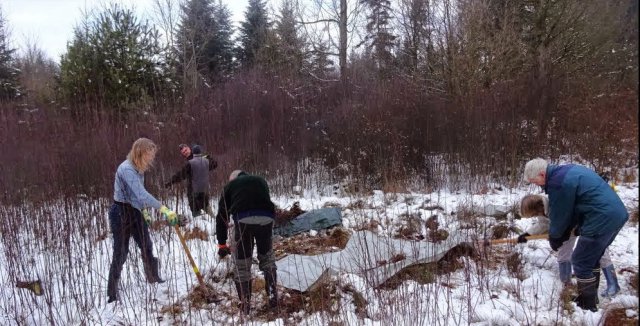 2016_23_1_buesselimoos_8